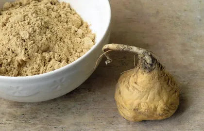 Shilajit resina (extracto 10:1)