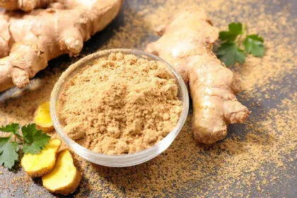 Panax Ginseng