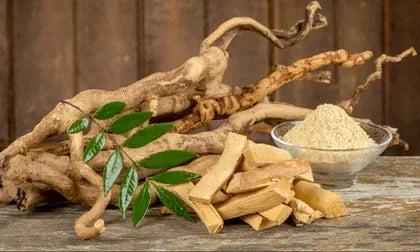 Extracto de jengibre (Zingiber officinale)